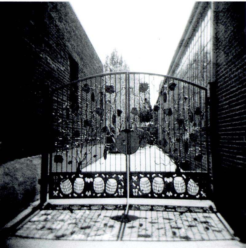 Illustration for article titled First Batch from the Holga